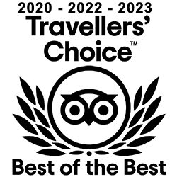 tripadvisor-travellers-choice-250