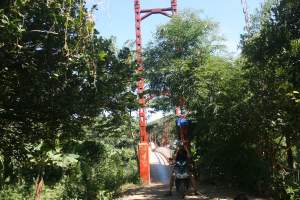 suspension bridge