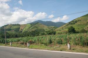 patchwork of Green on the hills