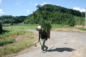 lady returning from work